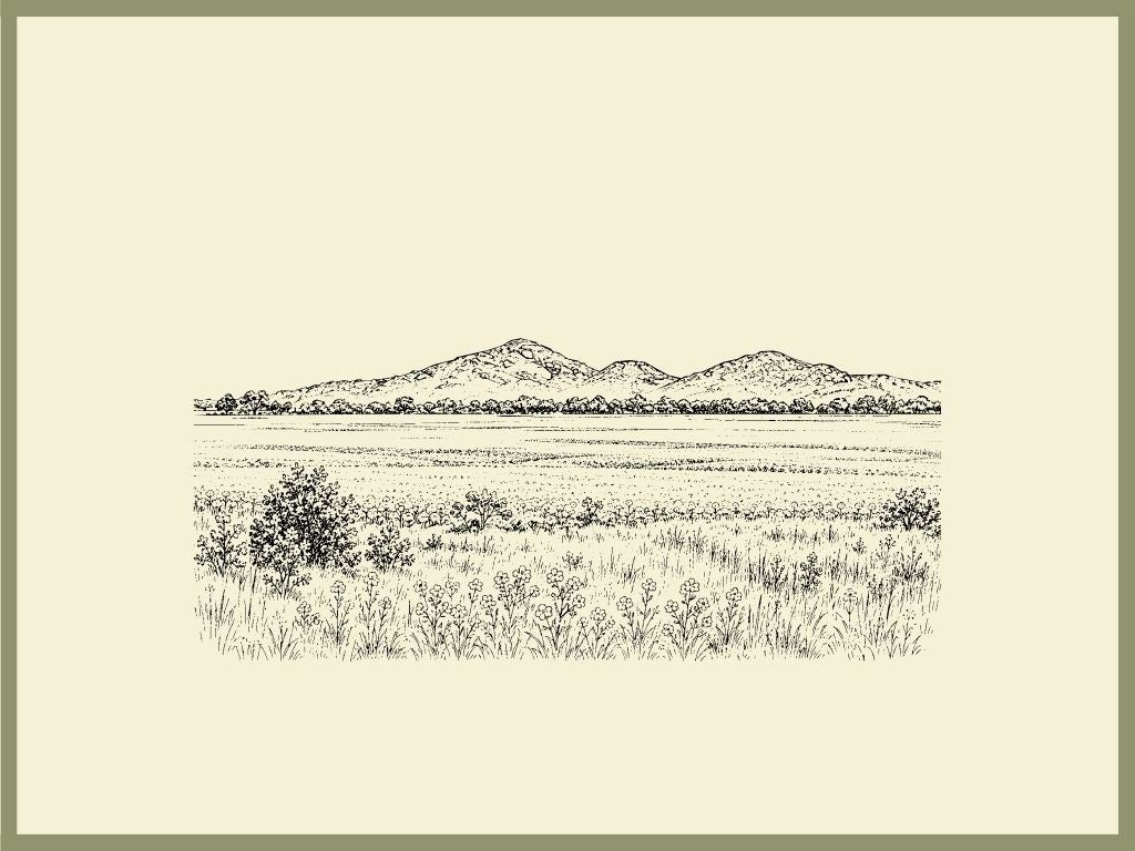 You Yangs Chopping Board engraving artwork