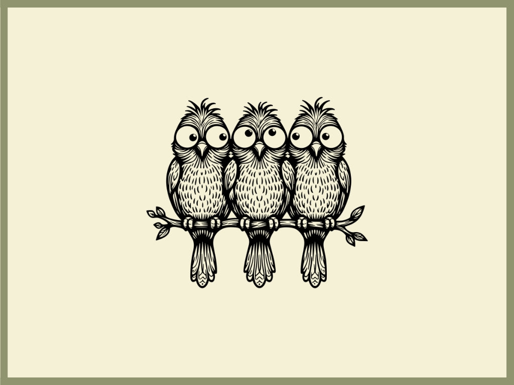 Three Little Birds Design