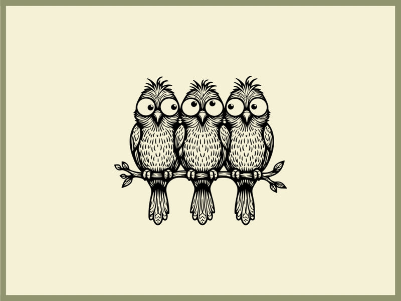 Three Little Birds Design