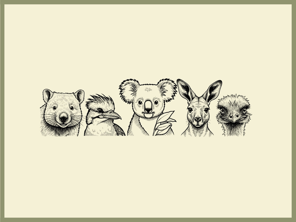 All Australian Animals