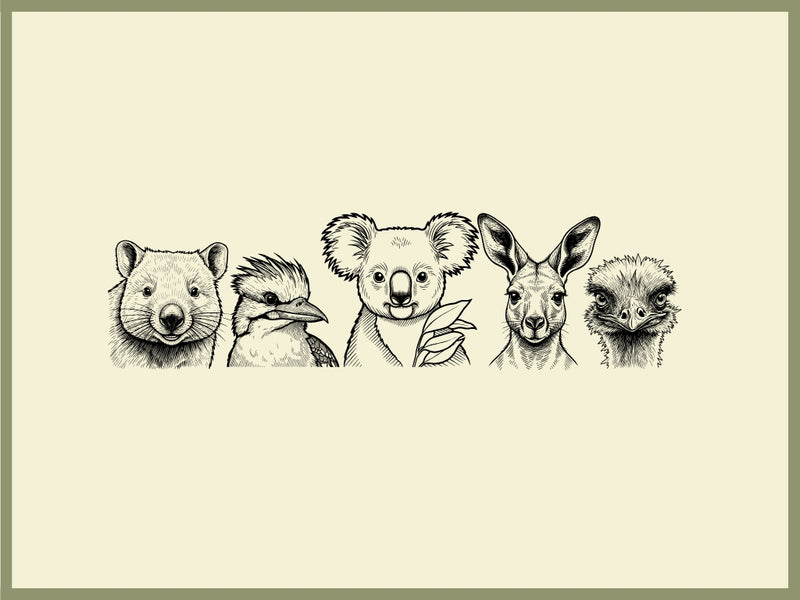 All Australian Animals