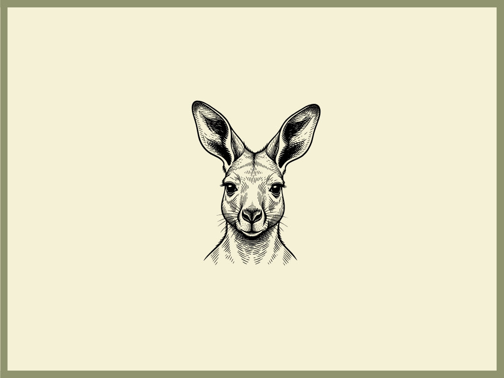 Kangaroo Design