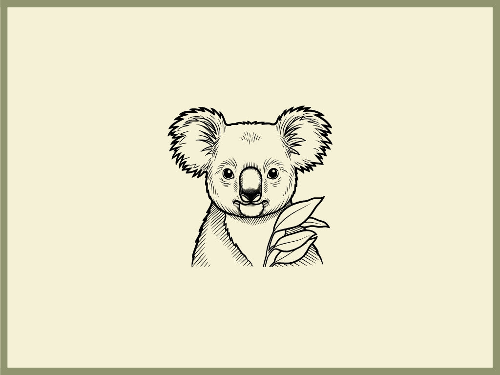 Koala Design