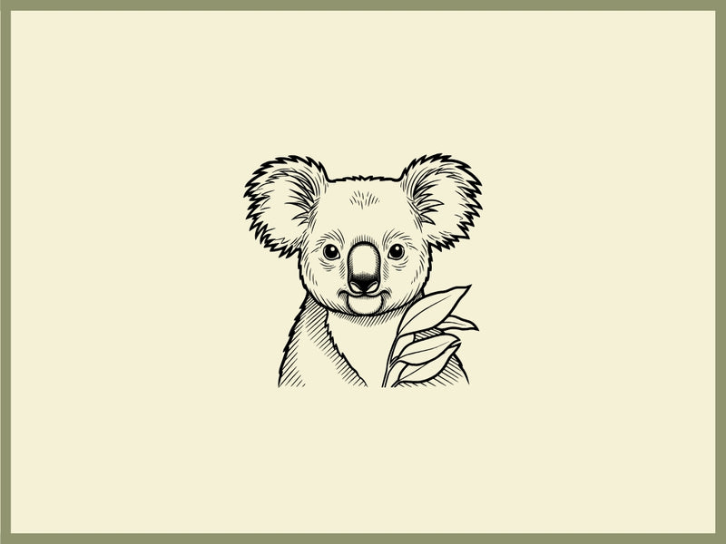 Koala Design