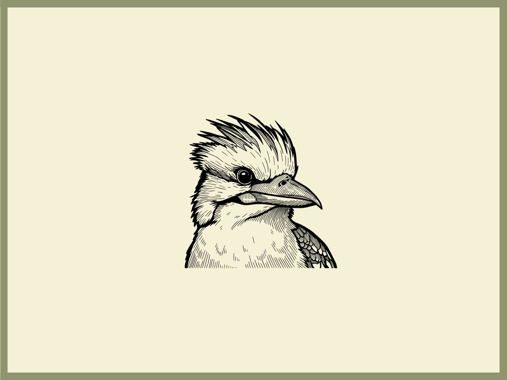 Kookaburra Design