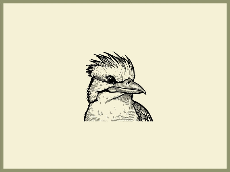 Kookaburra Design