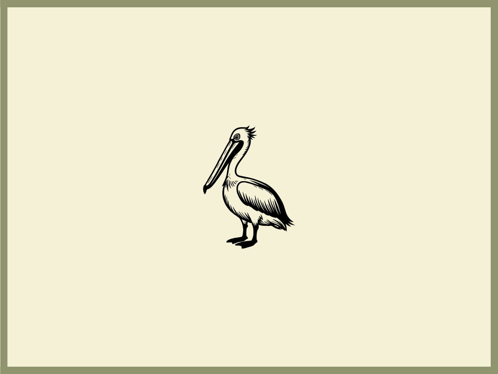 Pelican Design