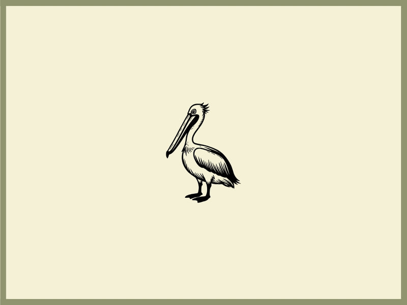 Pelican Design