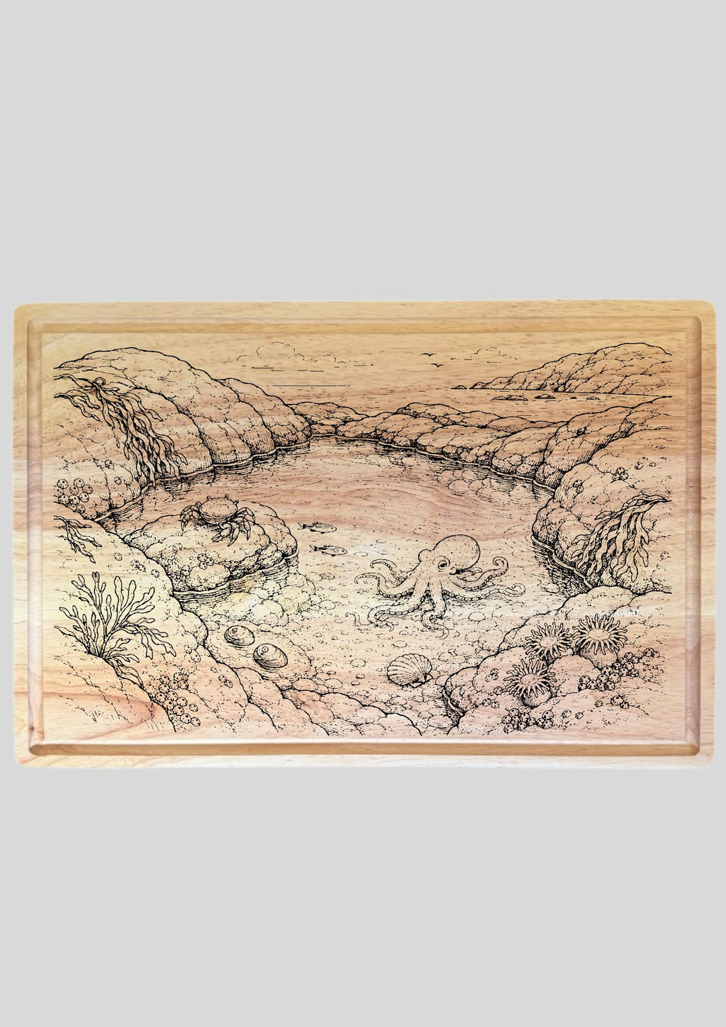 Rock Pool Design