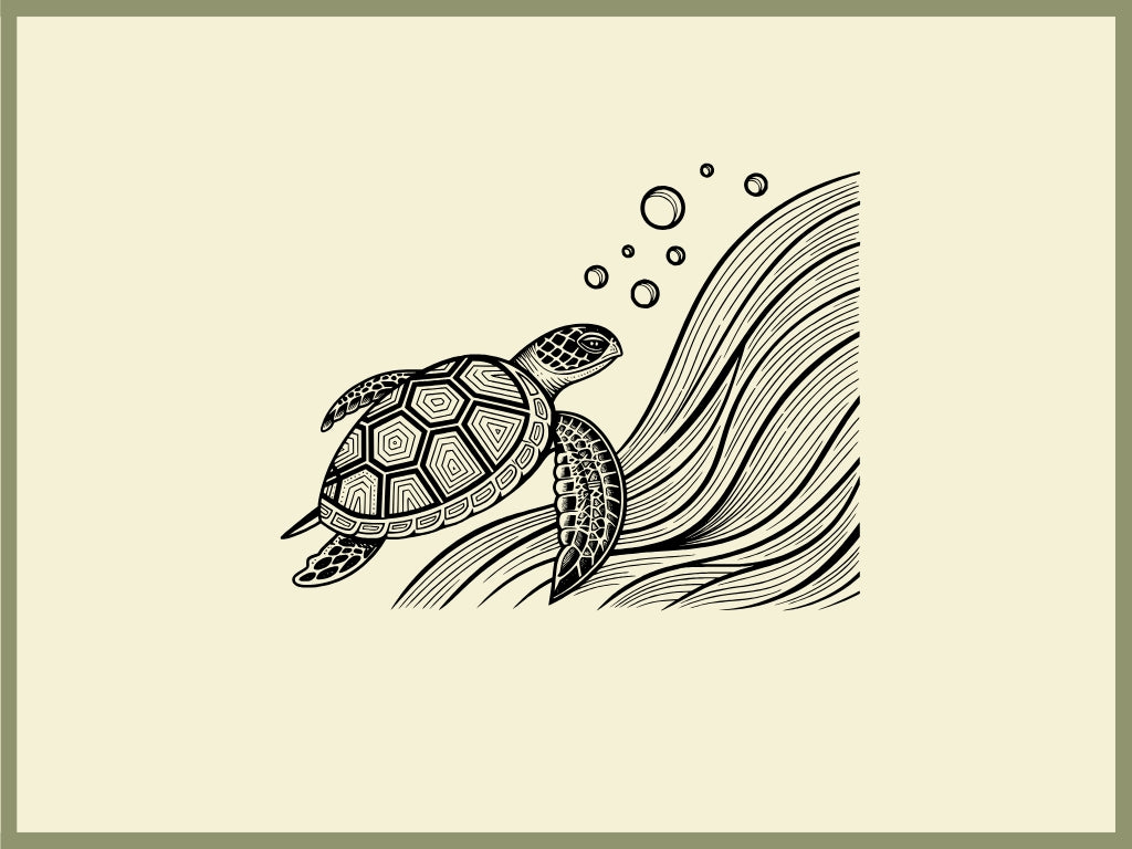 Turtle Design