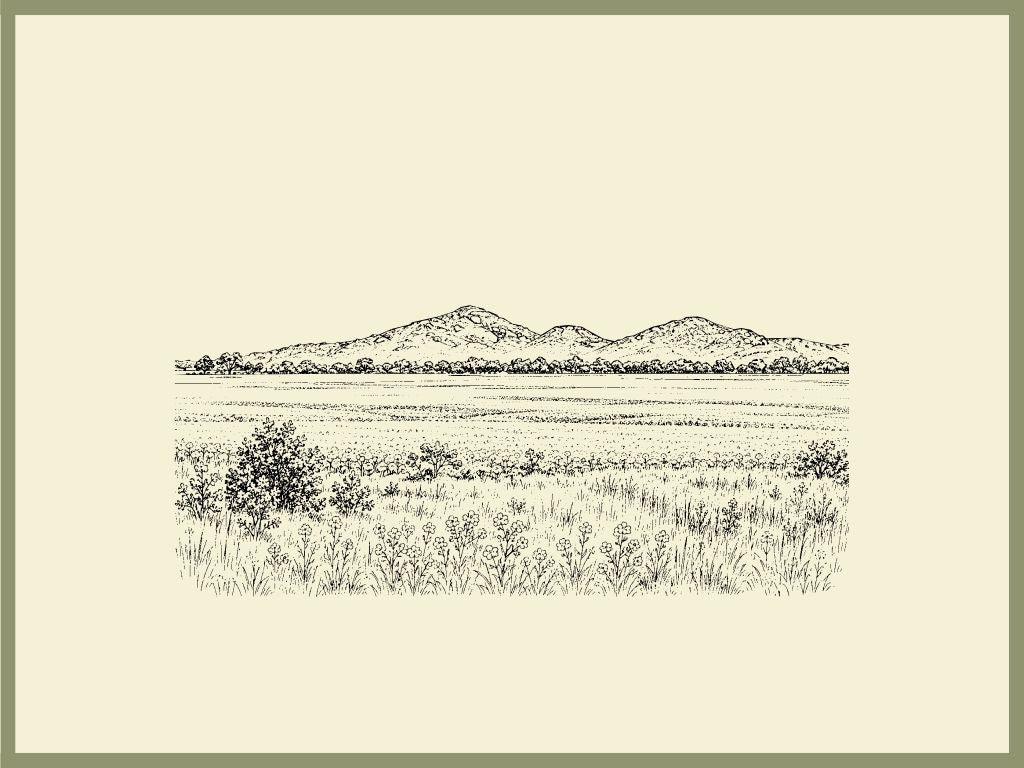 You Yangs Design